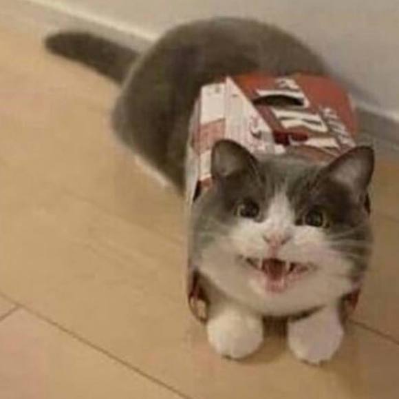 Profile Picture of Andrew Mccabe (@dru1202) on Poshmark