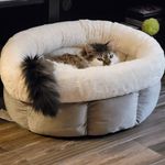 Florie Olson - Instagram Profile Picture of Florie Olson (@flobojo) on Instagram