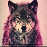 Profile Picture of Erik Schulz (@erik.s1203) on Instagram