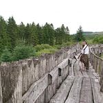 Profile Picture of David Oxley (@oxley.david) on Instagram