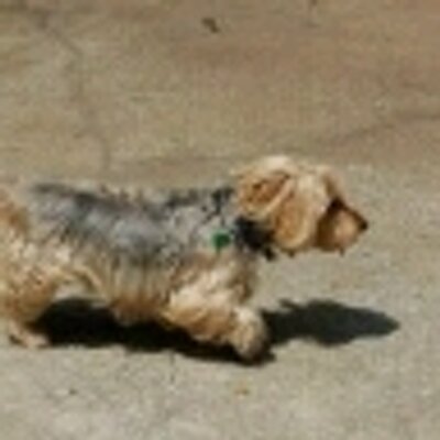 Profile Picture of Tommy Blanton (@tommyblanton) on Twitter