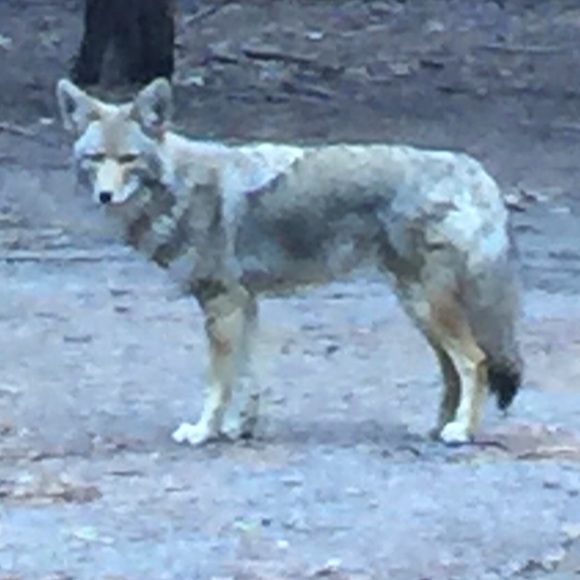 Profile Picture of Curt Fargo (@cfargo) on Poshmark