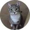 Profile Picture of Steven McGinnis II (@@mcginnis1397) on Tiktok