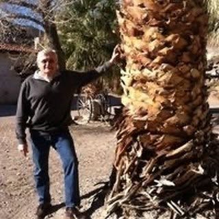 Profile Picture of Brian Connolly (@brian_connolly) on Instagram