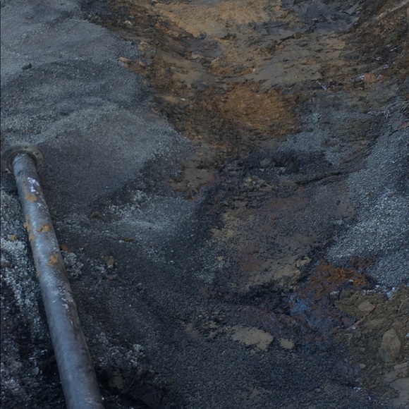 Profile Picture of Derick Walls (@mustangdlw) on Poshmark