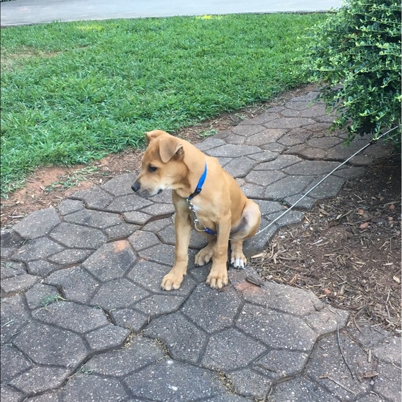 Profile Picture of Jacob Knox (@jacobknox21) on Poshmark