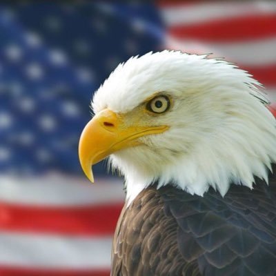 Profile Picture of CJ DESIGNS (@JerryReichert4) on Twitter