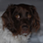 Profile Picture of Craig Geleff (@craigg65) on Flickr