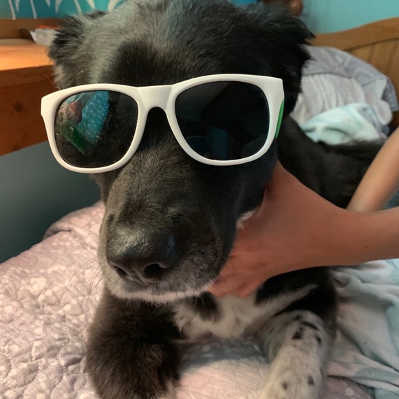 Profile Picture of Kim Hibbard (@k_hibbard) on Poshmark