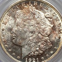 Profile Picture of Sam Sabet (@sam-sabet) on Quora