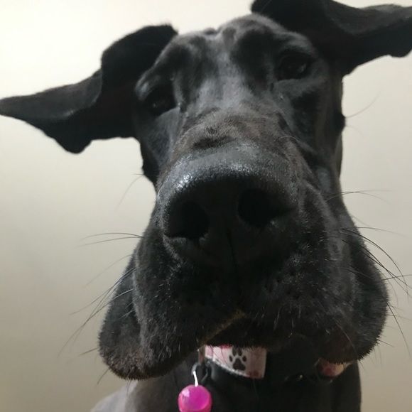 Profile Picture of J Jenkins (@jjenks878) on Poshmark