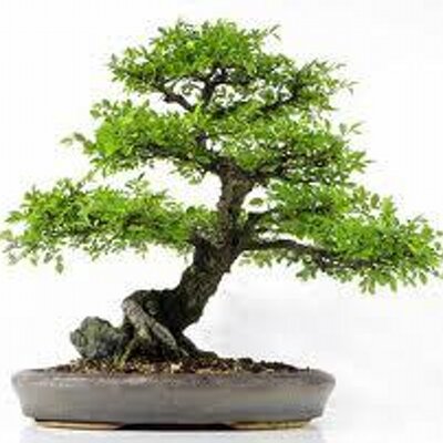 Profile Picture of Alex Finnegan (@afinny86) on Twitter