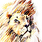 Mhlaba Shongwe - Flickr Profile Picture of Mhlaba Shongwe (@soil7) on Flickr