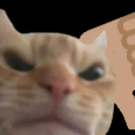 Profile Picture of Noel.rude (@rudeofthelife) on Tiktok
