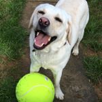 Profile Picture of Jacob Benjiman Mander (@jacobmander4) on Instagram