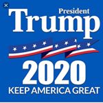 Profile Picture of Bruce Weber (@bruceweber6136) on Instagram