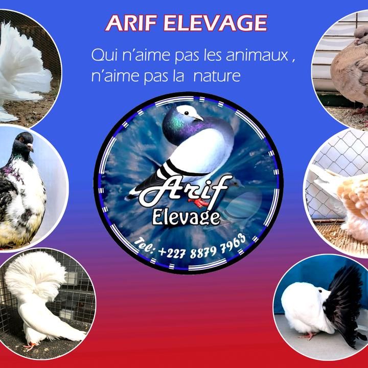 Profile Picture of Rhonda.Larson (@johnsoci9yo) on Tiktok