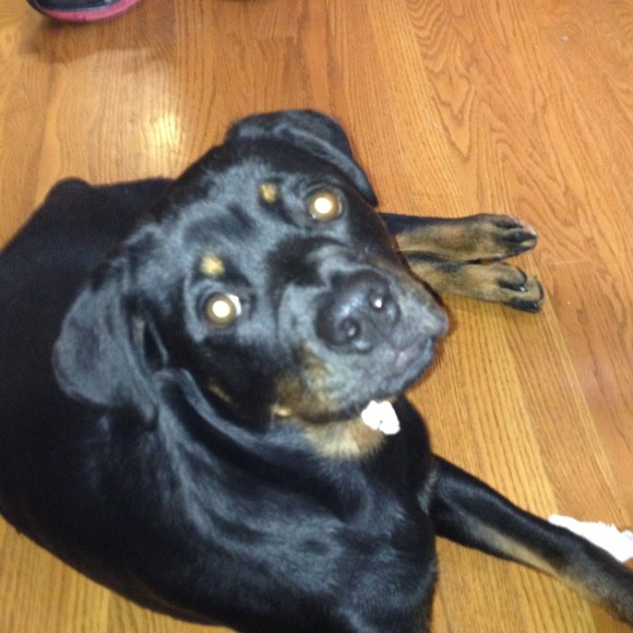 Profile Picture of Adam Day (@adamday) on Poshmark