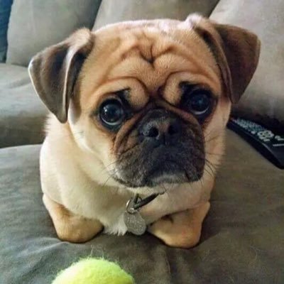 Profile Picture of James Lightsey (@Inactive1028) on Twitter