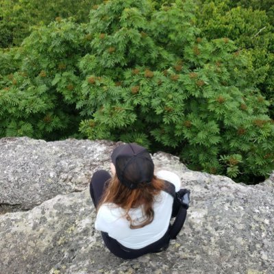 Profile Picture of Mandy Donnelly (@Mandy_LCSW) on Twitter