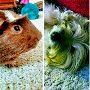 Profile Picture of James Byrne (@jamesbyrne6047) on Youtube