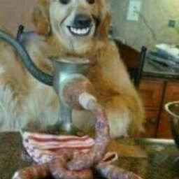 Profile Picture of Bassmaster Biles (@@RobertBrandon2) on Twitter