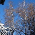 Hobbs - Instagram Profile Picture of Hobbs (@hobbsgwenetteqj7) on Instagram