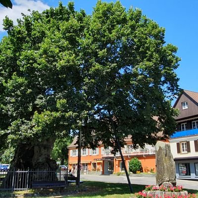 Profile Picture of Andreas Raab (@DIAndreasRaab) on Twitter