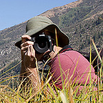 Profile Picture of joepopp (@joepopp) on Flickr