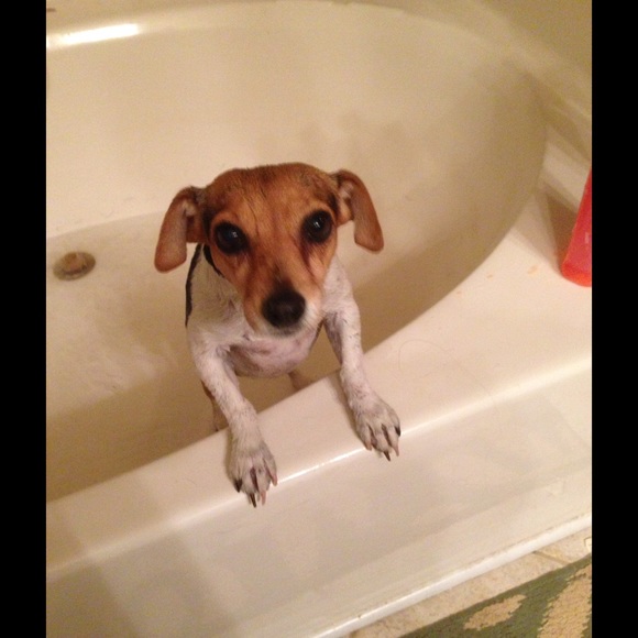 Profile Picture of Sherri Tanner (@sherriltanner) on Poshmark