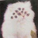 Profile Picture of César Coria (@cesar_coria_) on Instagram