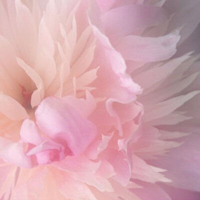 Profile Picture of Meaghan Reilly (@xomegreilleexo) on Twitter