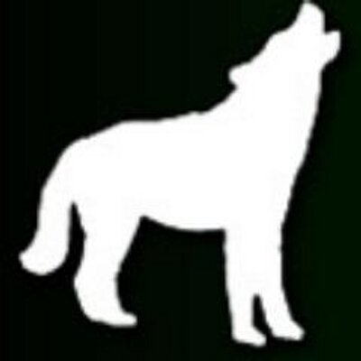 Profile Picture of Gary Hansen (@CoyoteConstruct) on Twitter