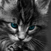 Profile Picture of Sisters Lemafa (@rickjameslemafa2079) on Youtube