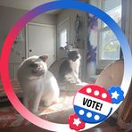 Profile Picture of Sandra Weeks (@sandra.weeks.35) on Facebook