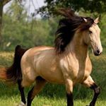 John Carbone - Instagram Profile Picture of John Carbone (@jcarb01) on Instagram