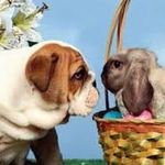 Profile Picture of Brennan McCarthy (@mcc55arthybrennan1) on Instagram