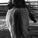 Profile Picture of Aleya Hammerschmidt (@maddykidswag) on Pinterest