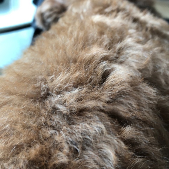 Profile Picture of Ivy Fung (@ifung) on Poshmark