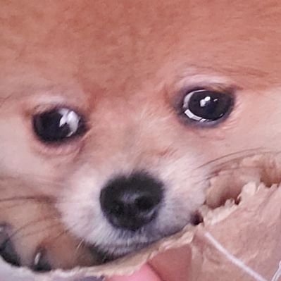 Profile Picture of Kris P. Creme (@TheRealKyleGib) on Twitter