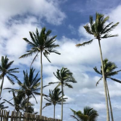 Profile Picture of Melisa Thomas Armida (@melthomasa) on Twitter