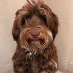 Profile Picture of Daniela Stäuber (@daniela.staeuber) on Instagram