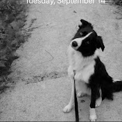 Profile Picture of Jacob Leslie (@jacobleslie7796) on Youtube