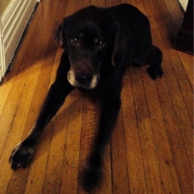Profile Picture of Zach Ferris (@hockeyferris) on Twitter