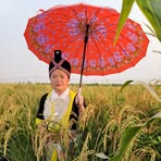 Profile Picture of Khou Vue (@khou.vue.12) on Facebook