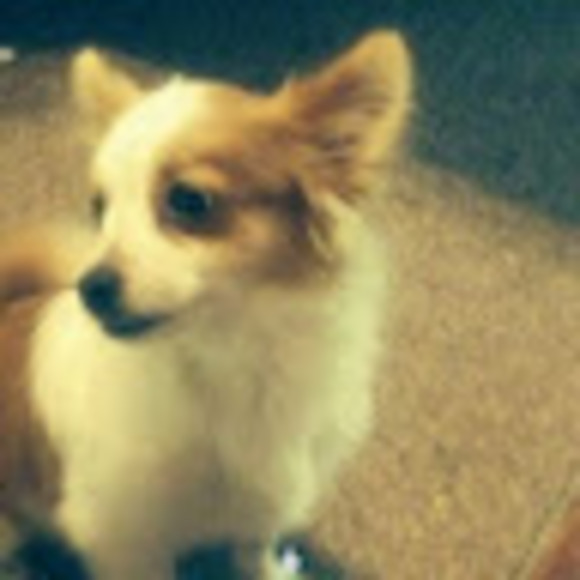 Profile Picture of Chasity Johnson (@chasityjohns718) on Poshmark