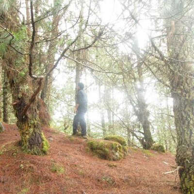 Profile Picture of Mario_Colmenares (@MarioC9) on Twitter