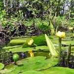 Profile Picture of Armfield (@armfieldsammo) on Instagram