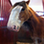 Profile Picture of Amiee Bell (@amiee_bell) on Flickr