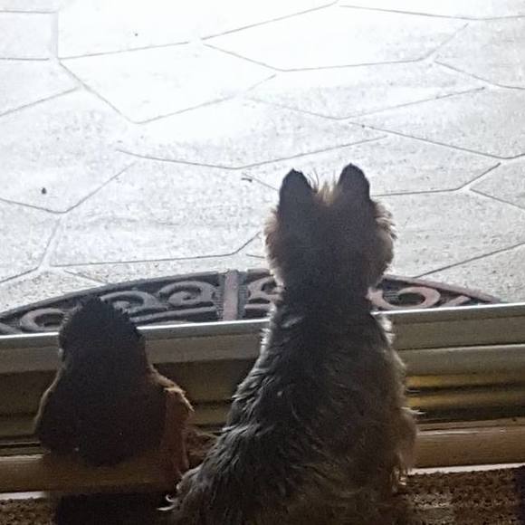 Profile Picture of John Rudacille (@jcrudy46) on Poshmark